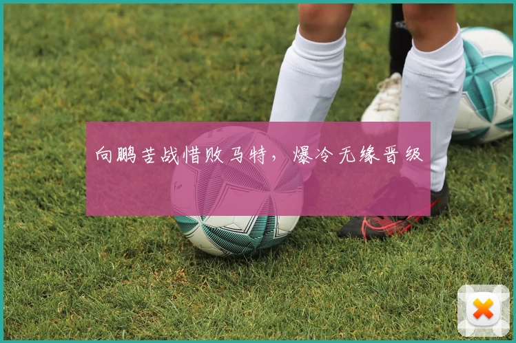 向鹏苦战惜败马特，爆冷无缘晋级