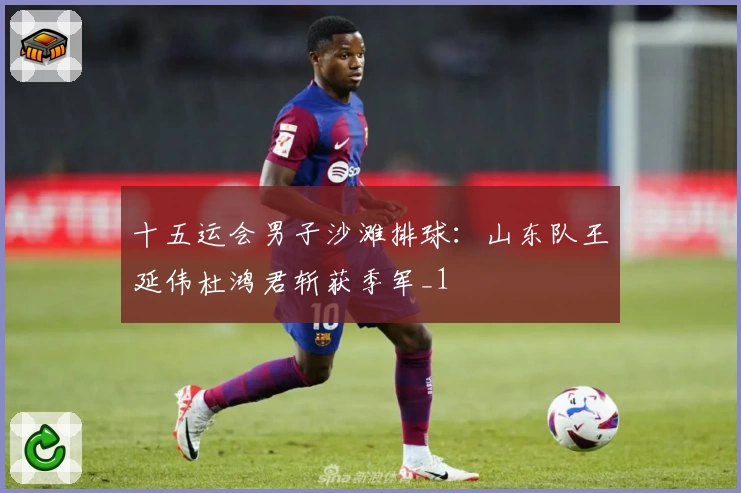 十五运会男子沙滩排球：山东队王延伟杜鸿君斩获季军_1