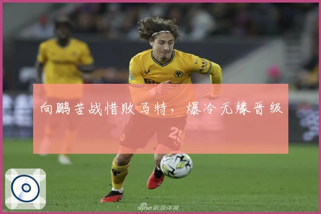 向鹏苦战惜败马特，爆冷无缘晋级