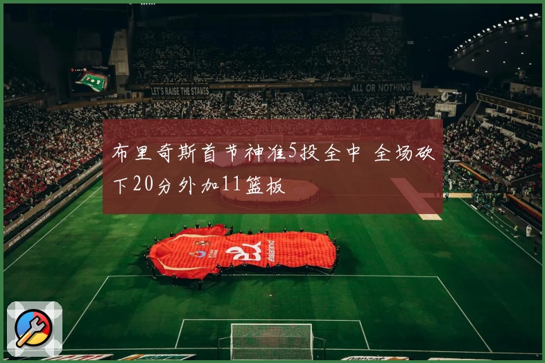布里奇斯首节神准5投全中 全场砍下20分外加11篮板